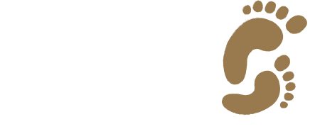 Future Steps Logo